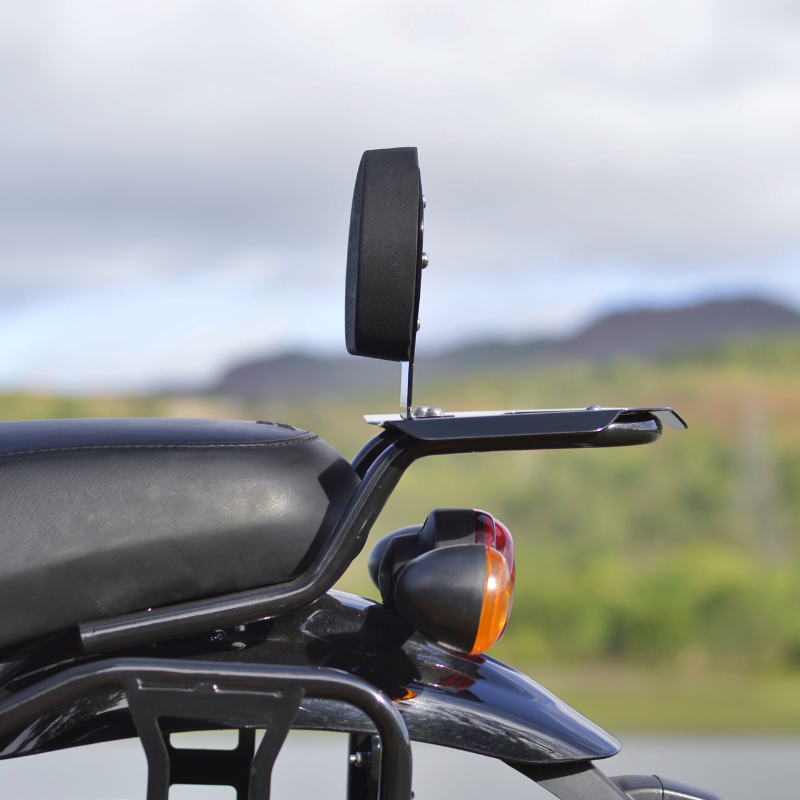 Auto Engina Top Rack with Backrest for Royal Enfield Hunter 350 19mm Mild Steel 12kg Gloss Black