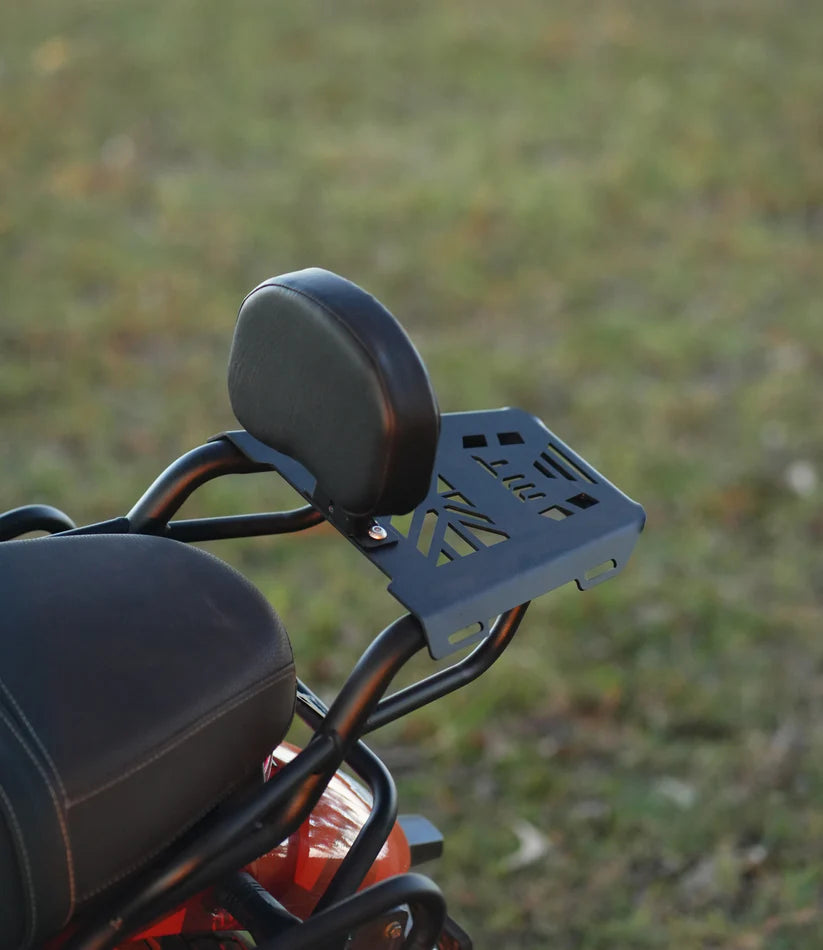 Moto Torque Back Carrier for TVS Ronin
