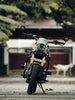 Legundary Custom Thanos crash guard with slider for Triumph Speed 400 black mild steel engine guard