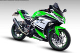 Kawasaki Ninja 400 Devil Evolution exhaust installed