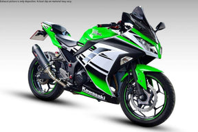 Kawasaki Ninja 400 Devil Evolution exhaust installed