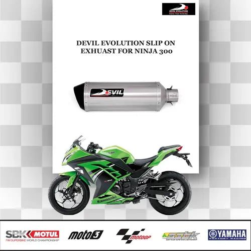 Kawasaki Ninja 300 Devil Evolution exhaust installed
