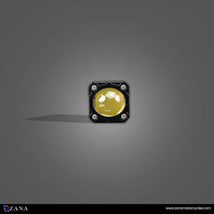 ZANA Fog Light ZFL-20 Universal LED Motorcycle Fog Lights with Dual Colour Beam, CNC Aluminium Body and IP68 Waterproof Design | Legendary Custom