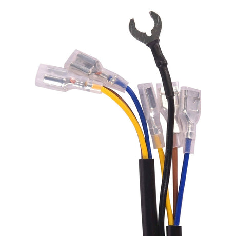 LGP motorcycle wiring harness with switch for fog lamps
