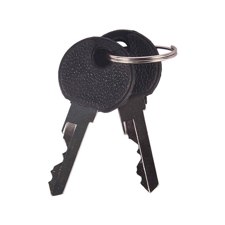LGP motorcycle helmet security accessory
