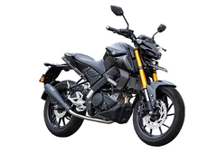 Silver Stallion Storm performance exhaust for Yamaha MT15 black matte brushed