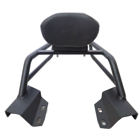 Motocare Pipe Carrier with Backrest for Yamaha FZS 25