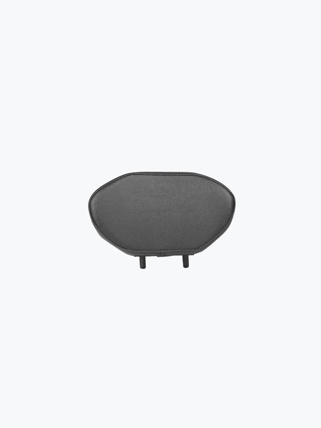LEGUNDARY motorcycle backrest for Himalayan 450, V-Strom SX, H'ness CB350 and CB200X