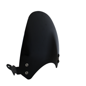 MotoCare visor for TVS Ronin bike